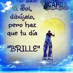 Meet your Posher, Everardo